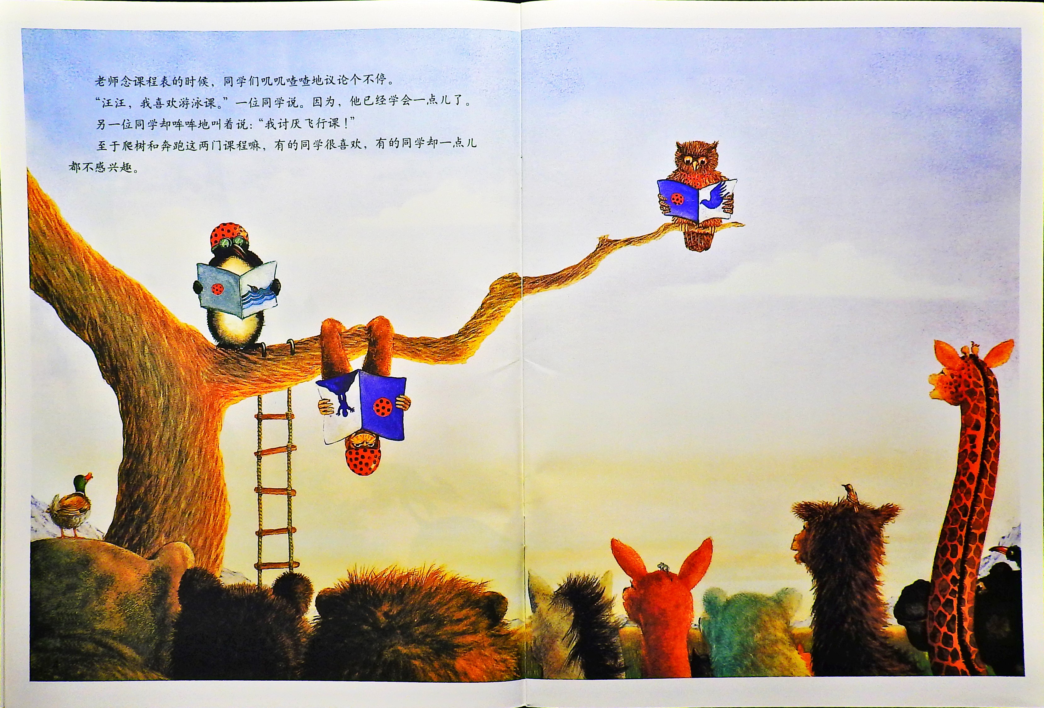 山羊学游泳 (05),绘本,绘本故事,绘本阅读,故事书,童书,图画书,课外阅读